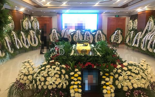 首页简介图片
